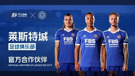 开云·体育（官网）KAIYUN SPORTS