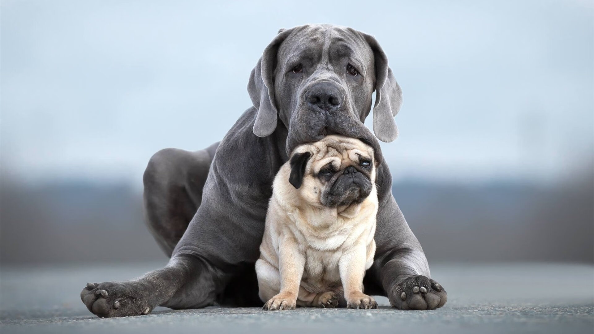 高校运动训练科学管理模式创新实践，运动训练科研管理工作要求