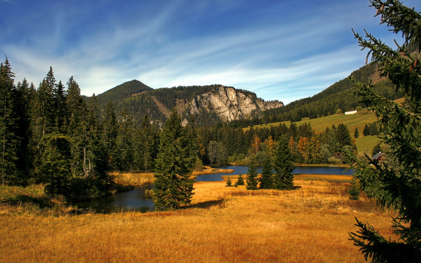 Chinese Taipei精彩发挥,2024年混合团体世界杯攻守兼备,世界杯团体赛