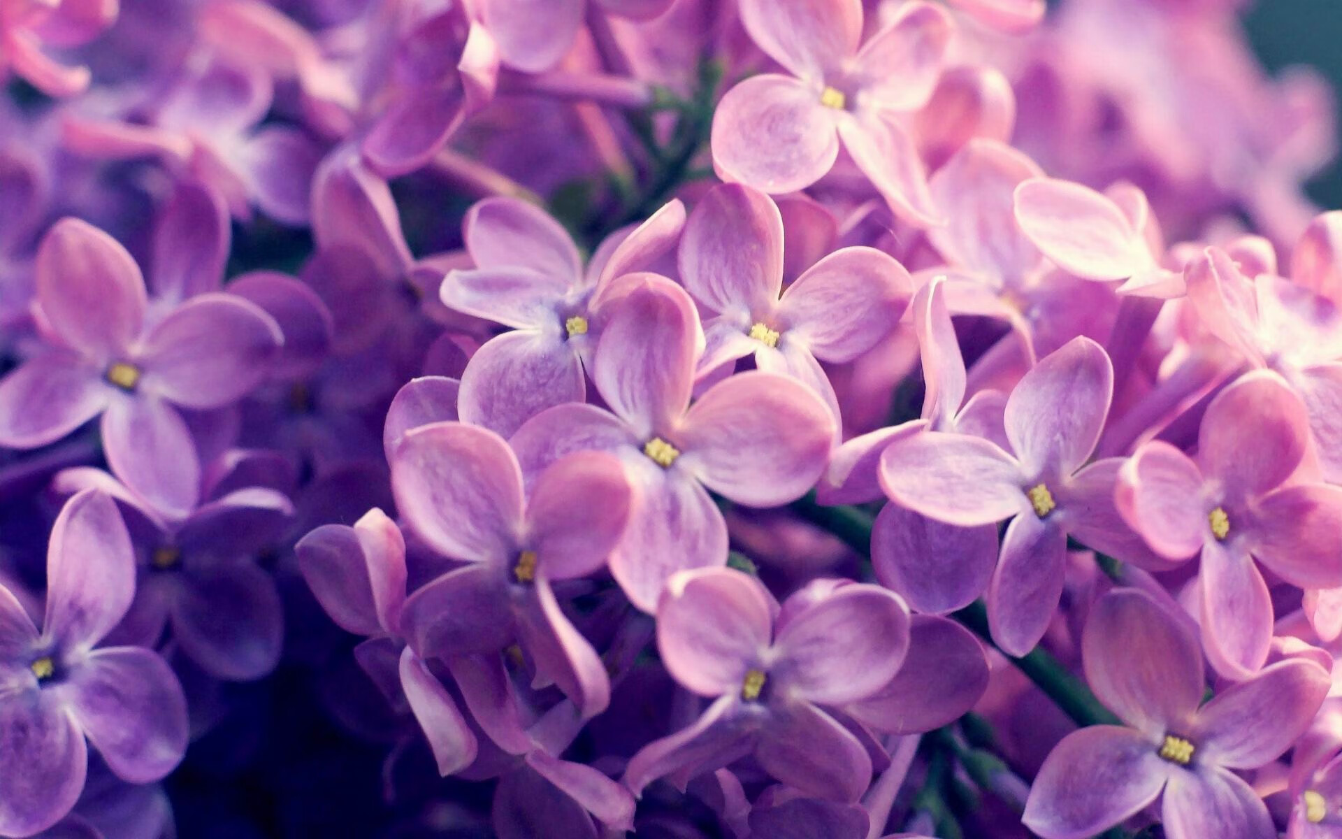 PSG进攻战术失效原因剖析,进攻战术基础