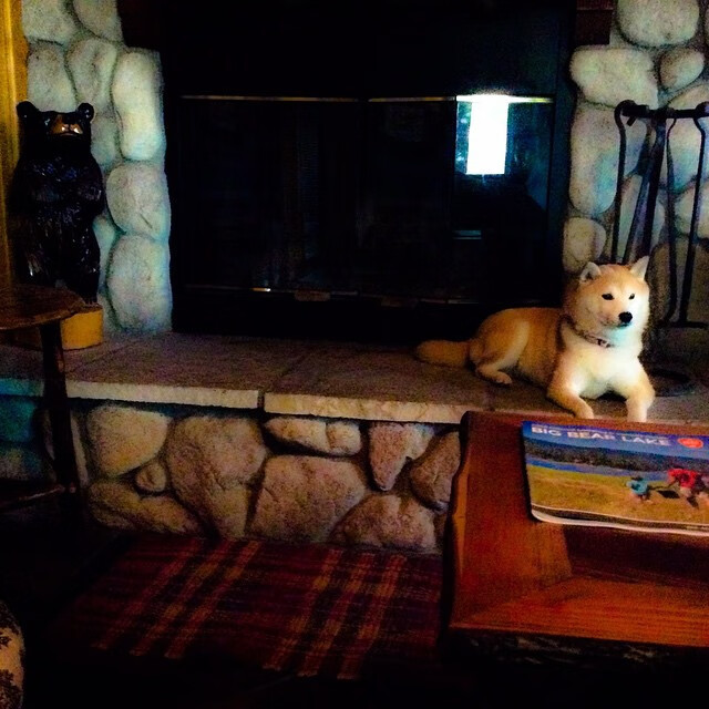 “跑酷赛场:东安湖体育公园成为极限运动的全新战场”