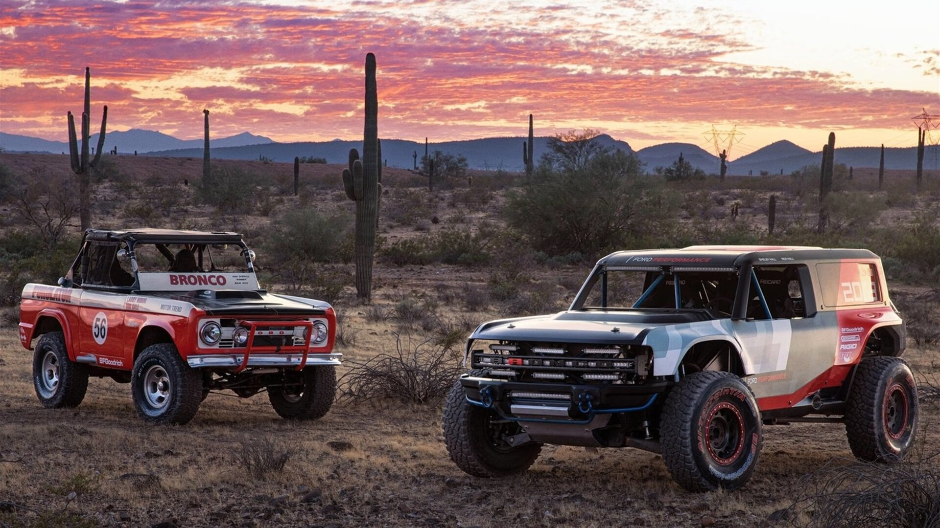 中国男篮战术执行力不断提升,中国男篮训练强度