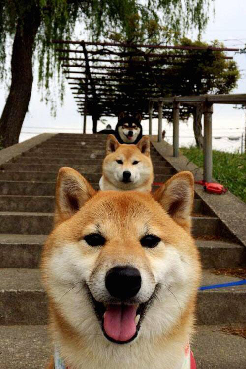 开云体育下载-中超联赛中国青年队战胜 球员状态逐渐回暖，中超球队各队青训的情况