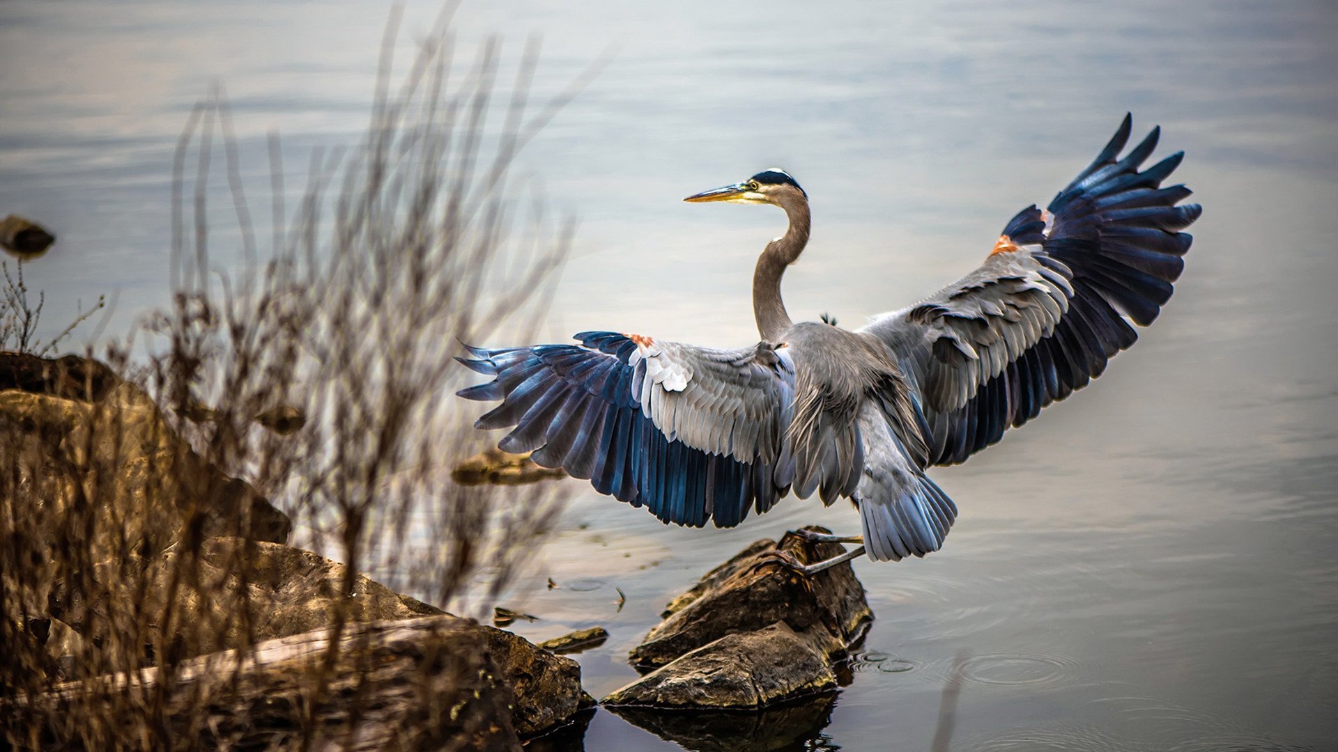 后卫得分能力提升传统控卫思路受挑战,得分后卫打控卫