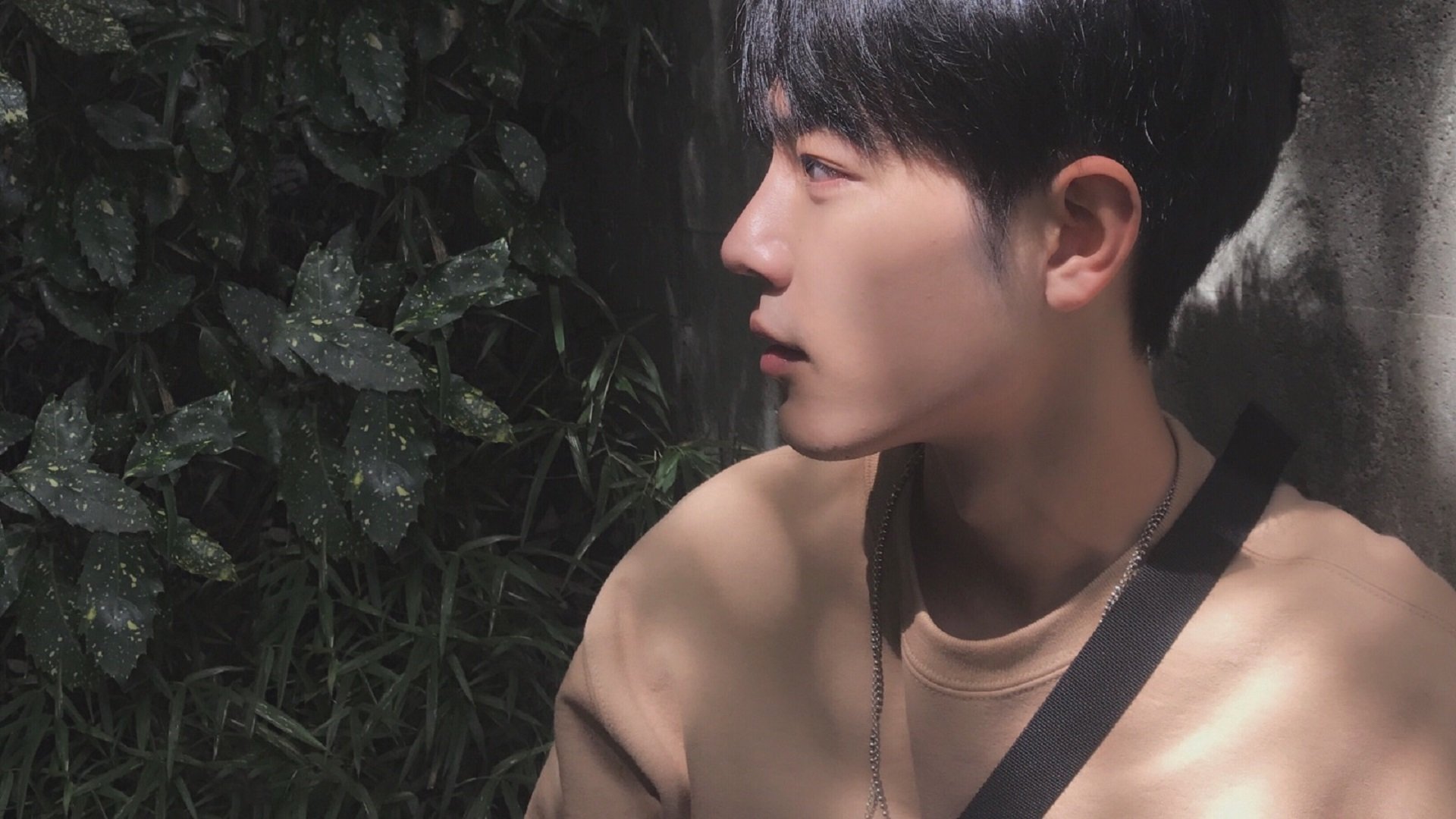 海湾者年轻球员潜力无限，未来可期，看一下海湾