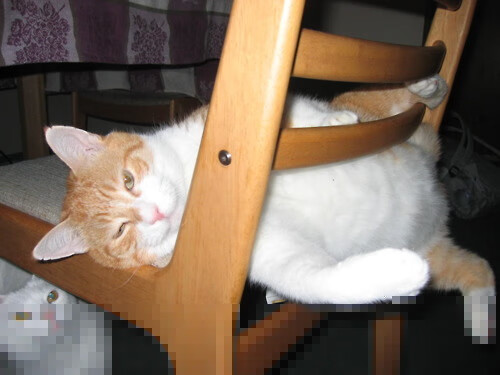 开云ky官网-电子竞技青少年规范培训试点城市公布，青少年电竞比赛