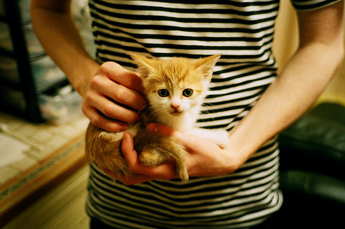 希腊男篮在欧洲锦标赛中再夺冠军,继续巩固欧洲霸主地位,希腊男篮进奥运了吗