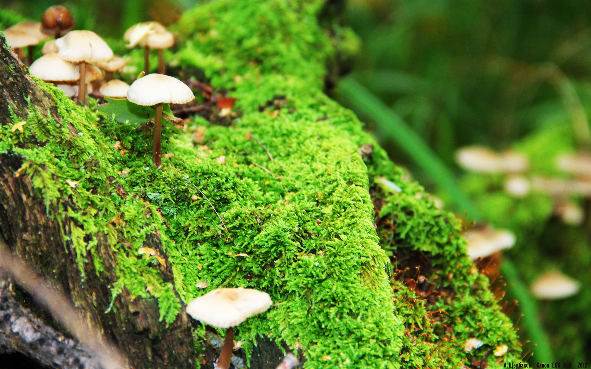 开云体育在线登入-恩多比·恩乔的表现一直备受瞩目，他为南非队提供了无限可能，恩多什么意思